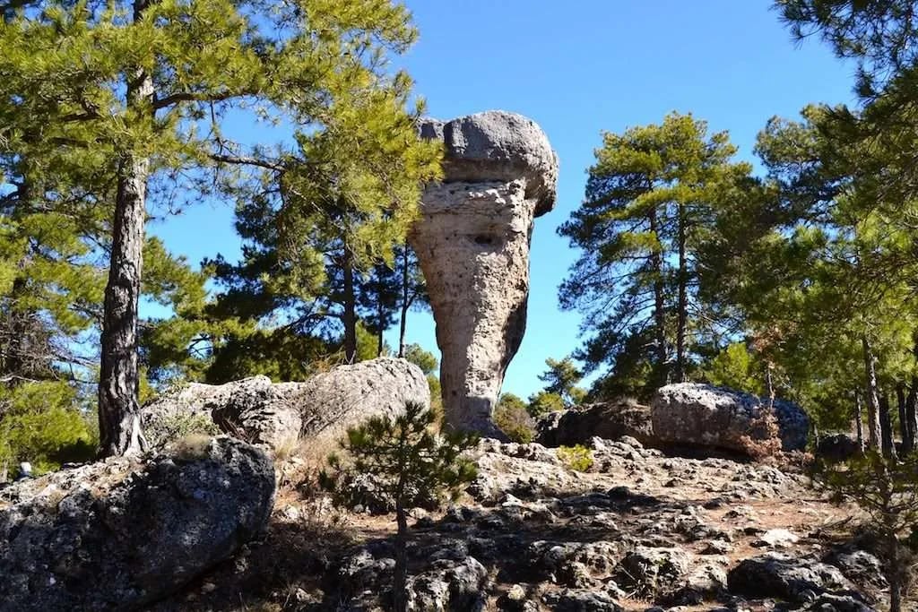 Formaciones de roca caliza entre pinares en la Ciudad Encantada de Cuenca